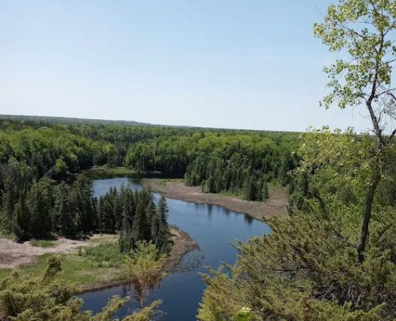 Au Sable River Camping Site 93D