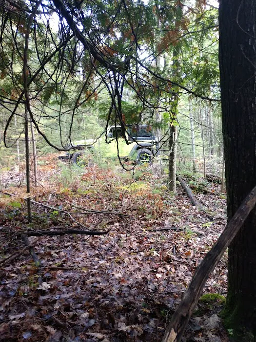 Au Sable River Camping Site 93D 8