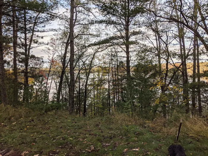 Site 073D Ausable River Camping 4