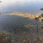 Site 073D Ausable River Camping