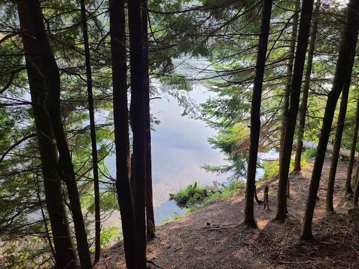 Ausable River Camping Site 76d 5
