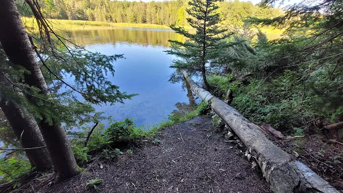 Ausable River Camping Site 76d 9