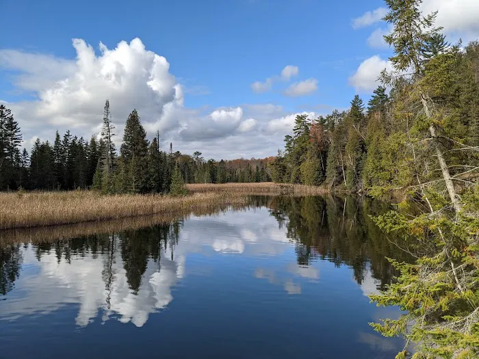 Ausable River Camping Site 82 1