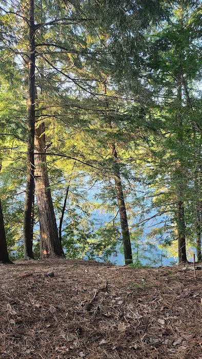 Ausable River Camping Site 77d 0