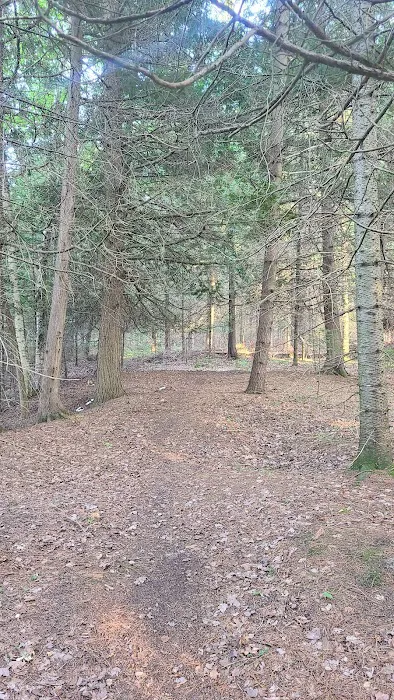 Ausable River Camping Site 77d 5