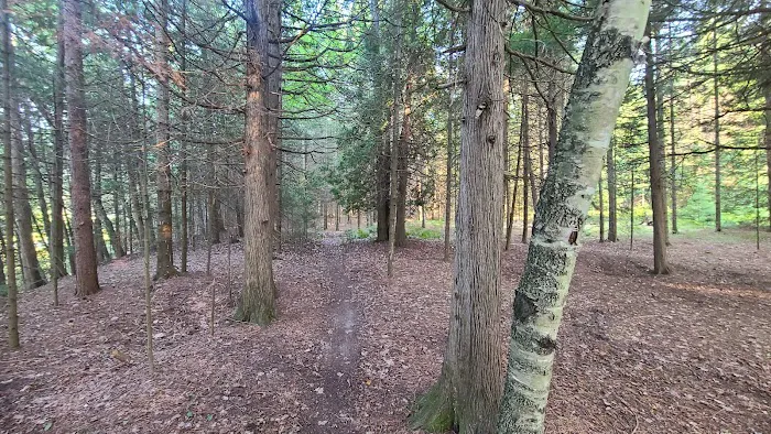 Ausable River Camping Site 77d 4