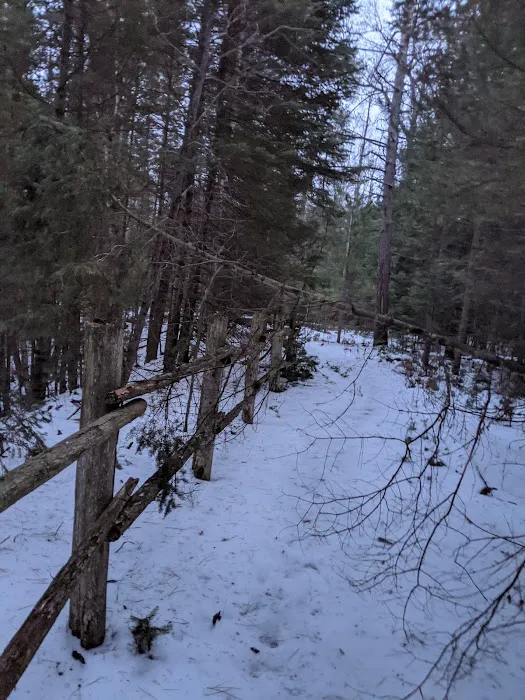 Keystone Landing State Forest Campground 5