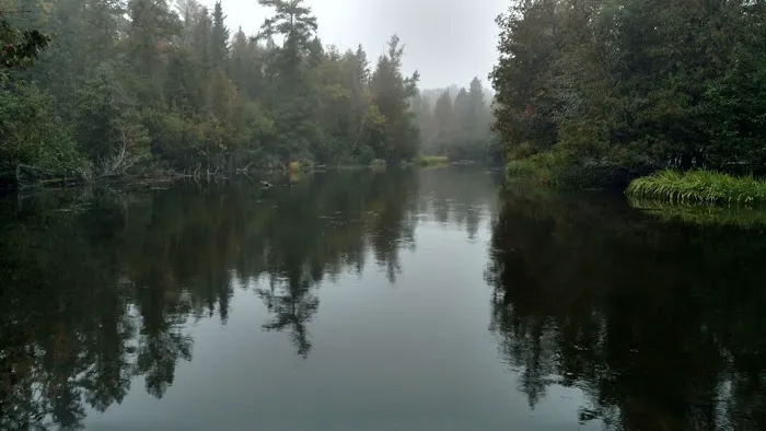 Keystone Landing State Forest Campground 2