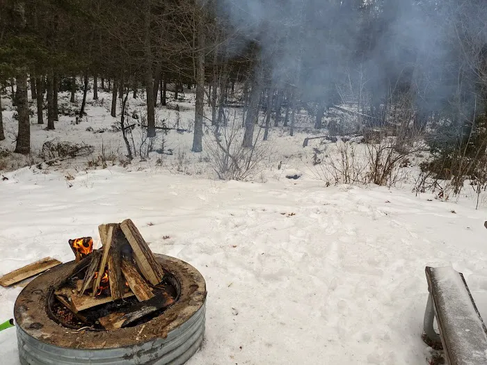 Keystone Landing State Forest Campground 8
