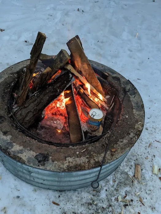 Keystone Landing State Forest Campground 7
