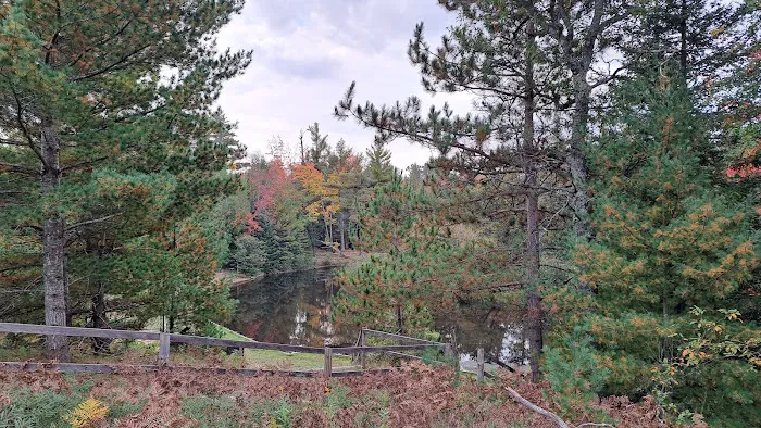 Au Sable Canoe Camp Ground 1