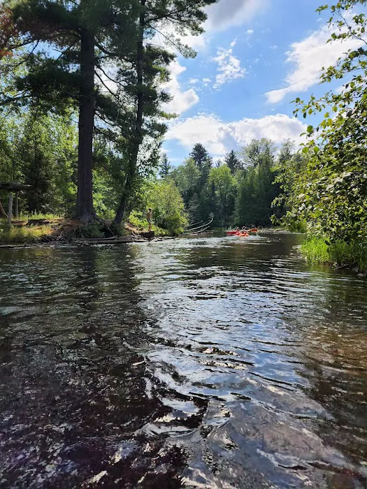Au Sable Canoe Camp Ground 7