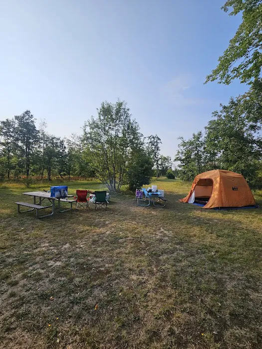4 Mile State Forest Trail Camp 0