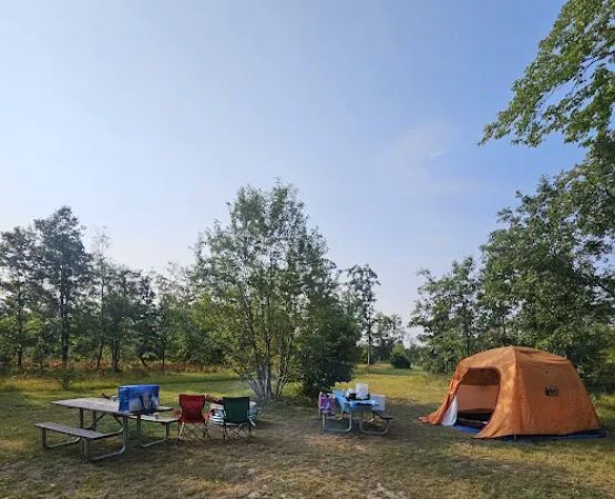 4 Mile State Forest Trail Camp