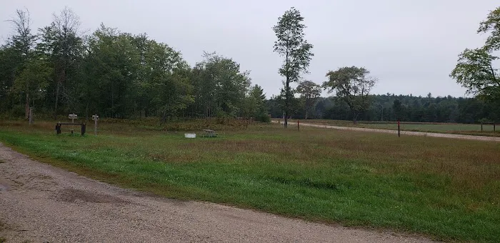 4 Mile State Forest Trail Camp 1