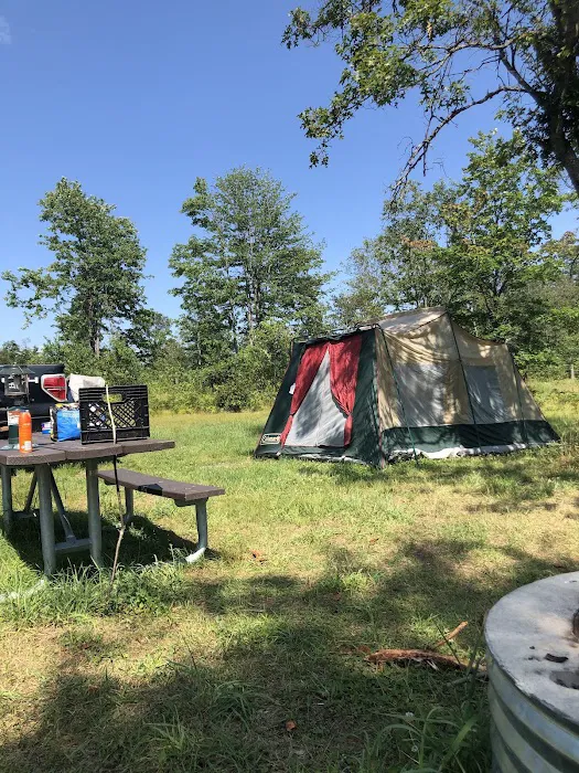 4 Mile State Forest Trail Camp 2