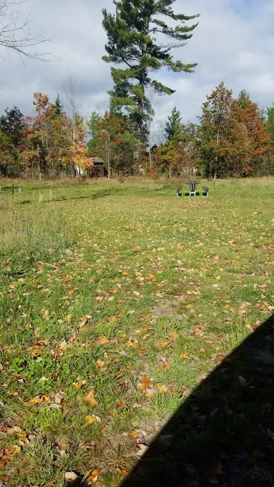 4 Mile State Forest Trail Camp 7