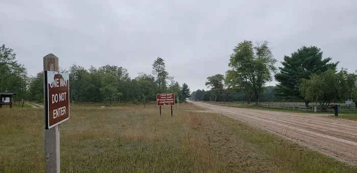 4 Mile State Forest Trail Camp 9