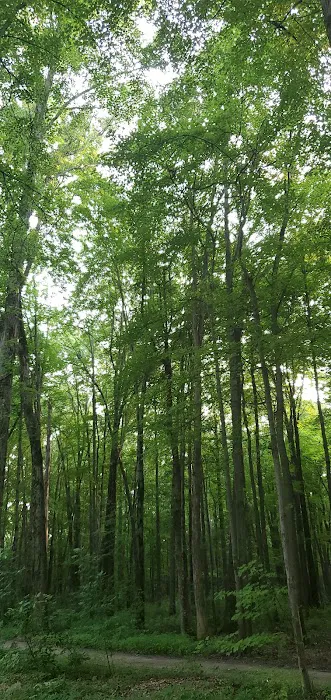 Twin Acres Campground 3