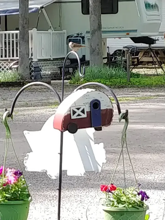 Twin Acres Campground 5