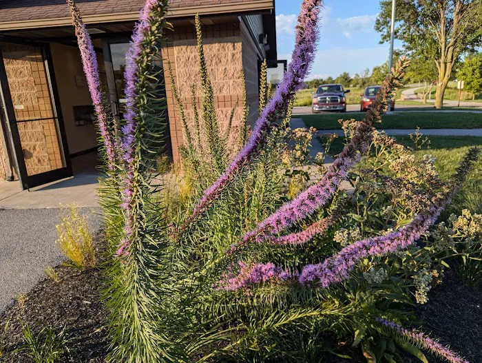 Ottawa Metro Park Campground 5