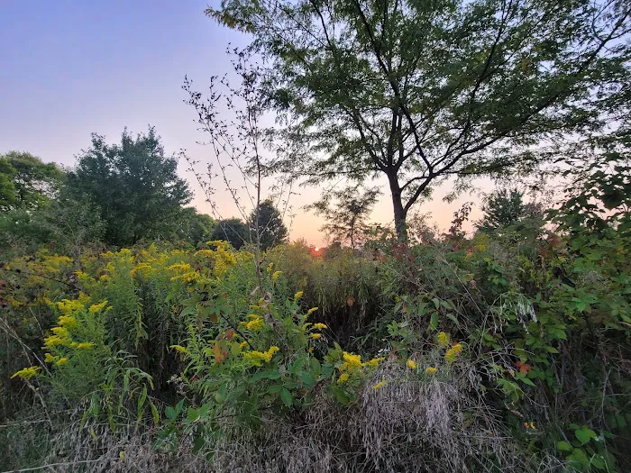 Ottawa Metro Park Campground 7