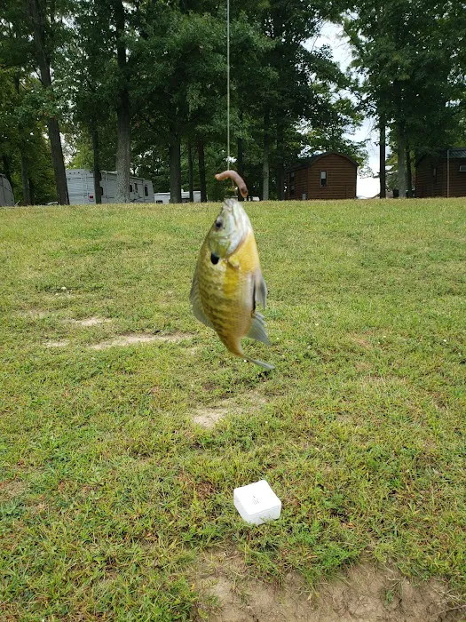 Twin Lakes Park 6