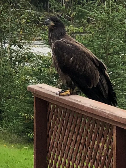 Fairbanks / Chena River KOA Journey 3