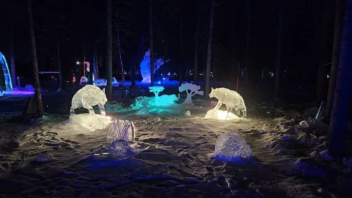 Tanana Valley Campground and RV Park 5