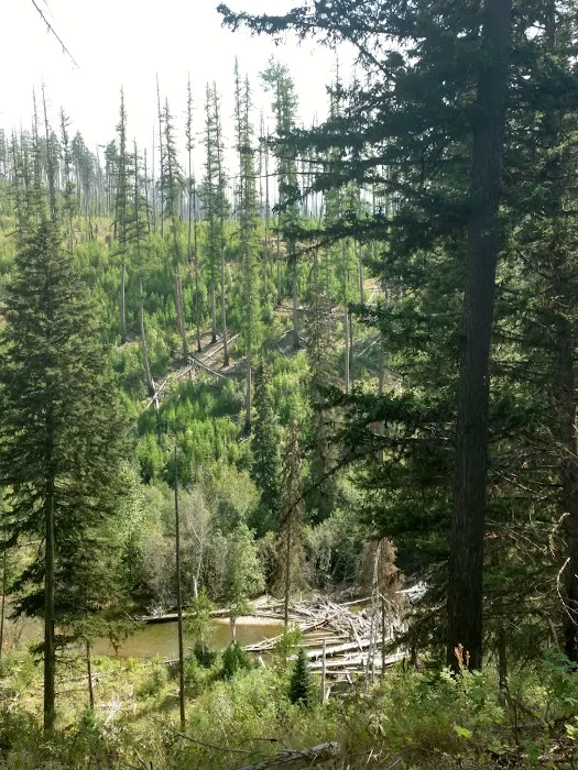 Logging Creek Campground 0