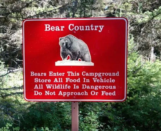 Quartz Creek Campground