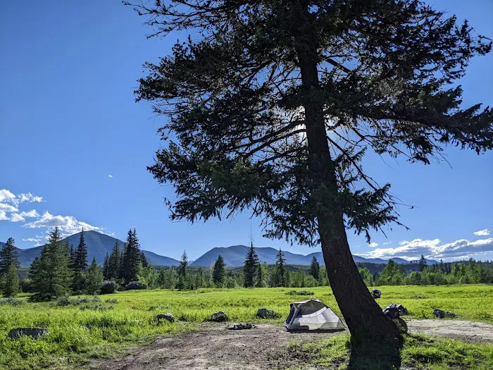 Polebridge dispersed campsites 8