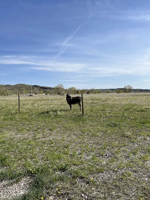 Pondera Public Park and Campground 2