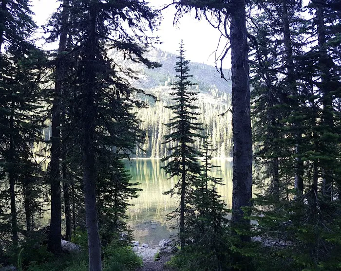 Moose Lake Campground 2