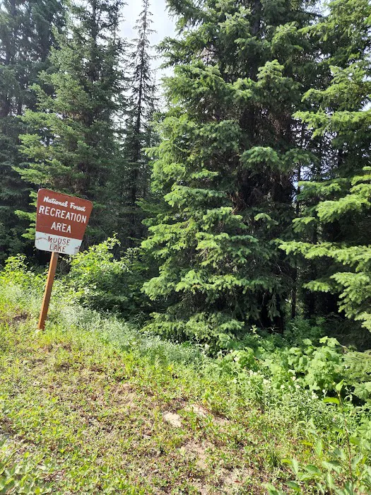 Moose Lake Campground 3