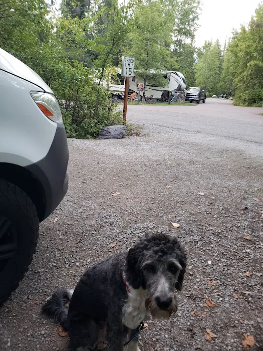 Whitefish Campground 7