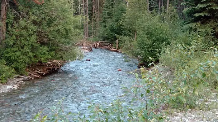 Tuchuck Campground 4