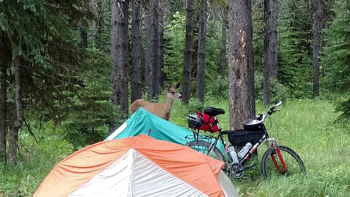 Tuchuck Campground 7