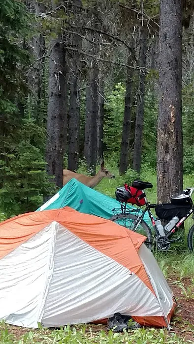 Tuchuck Campground 8