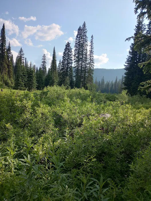 Red Meadow Lake Campground 0