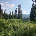 Red Meadow Lake Campground