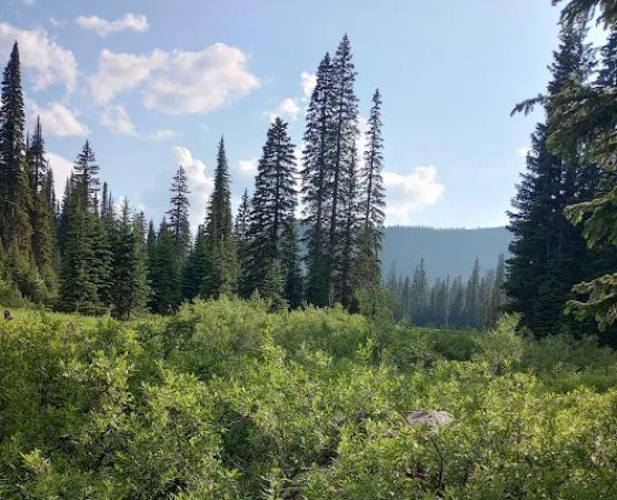 Red Meadow Lake Campground