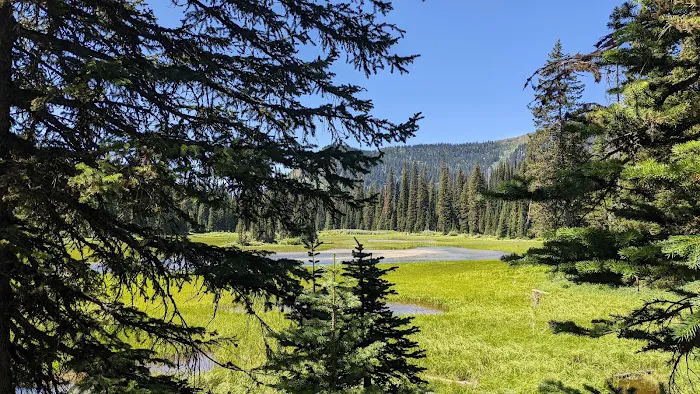 Red Meadow Lake Campground 2