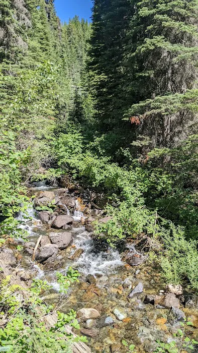 Red Meadow Lake Campground 5