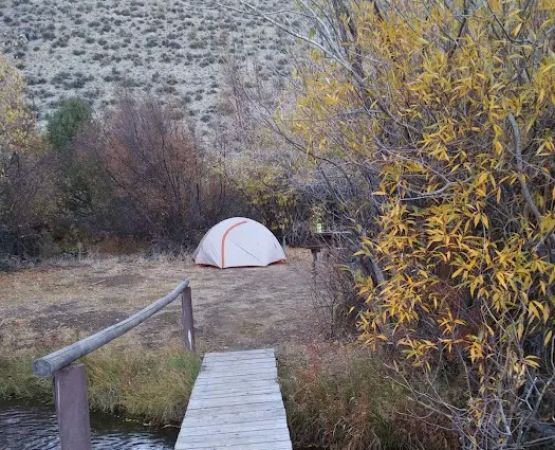 SMOKEY CUBS CAMPGROUND