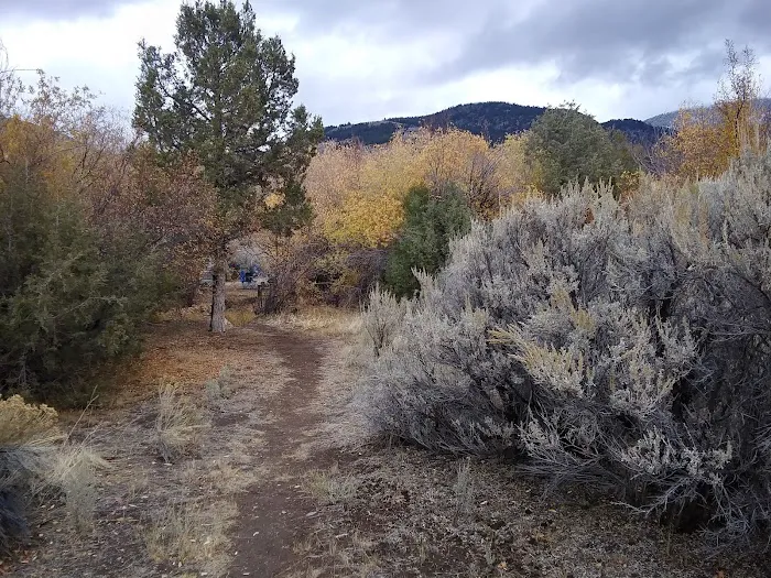SMOKEY CUBS CAMPGROUND 6