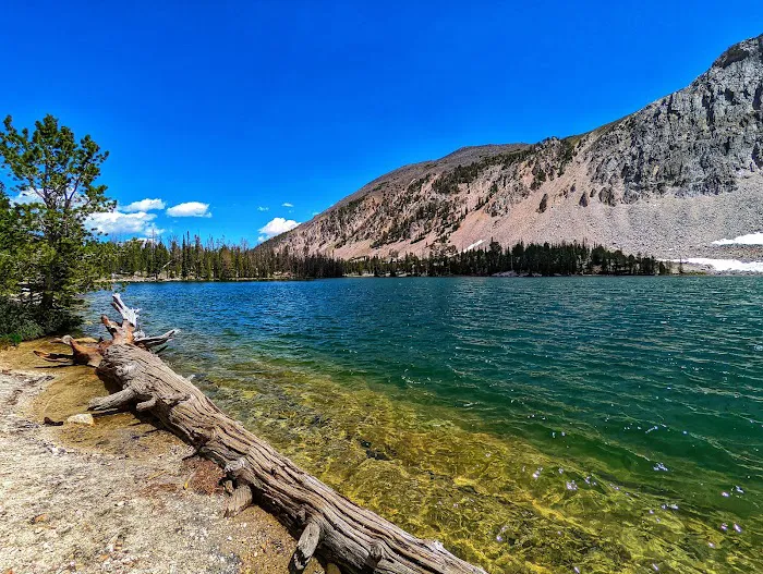 Meadow Lake Campground 2