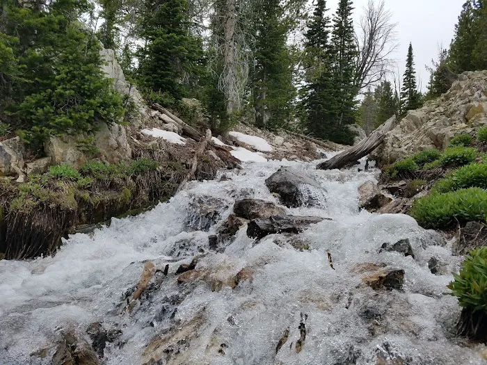 Meadow Lake Campground 6