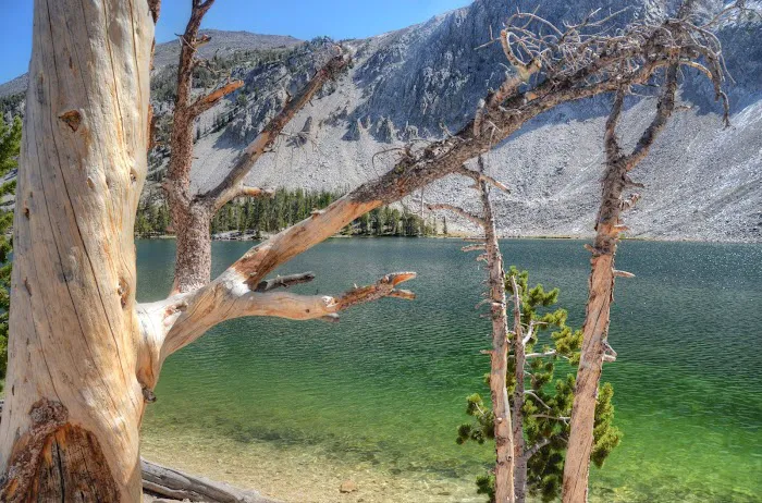 Meadow Lake Campground 7