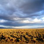 Hawley Creek, Lower Campground